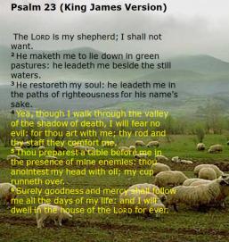 51 psalms 23 king james version1 81